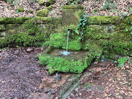 24-02-28 16-51-26 8801